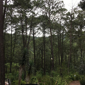 Meet your Posher, Victor